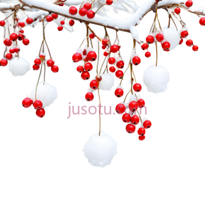 雪球,冬季,白色, PNG