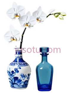 花瓶,兰花,传统中式,现代,白色带蓝色图案,蓝色PNG