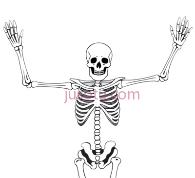 骷髅,死亡, PNG
