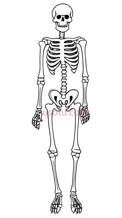 卡通,骨骼, PNG