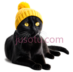 猫,戴黄色毛线帽,黑色PNG