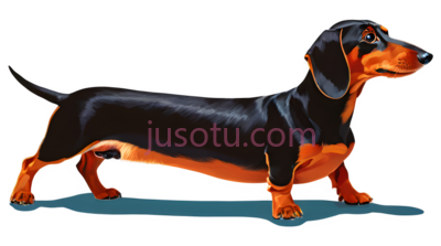 腊肠狗, PNG