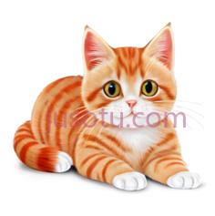 小猫,卡通,橘色,白色PNG