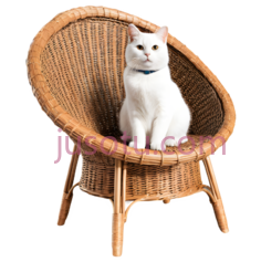 猫,藤制椅子,白色PNG