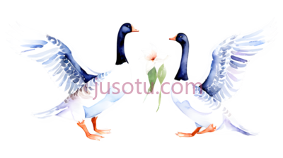 天鹅,卡通,白色, PNG