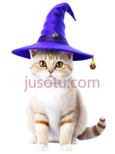猫,戴巫师帽,白色,橙色PNG
