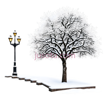 树,冬季雪景,白色, PNG