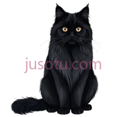 长毛猫, PNG