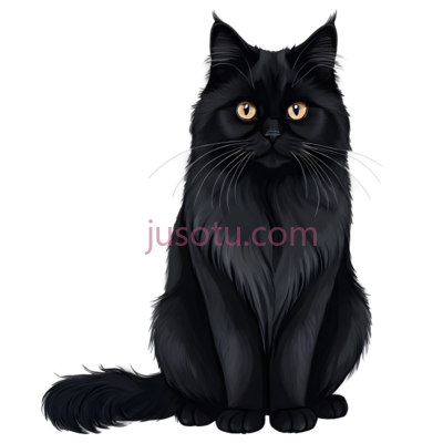 长毛猫, PNG