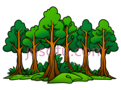森林, PNG