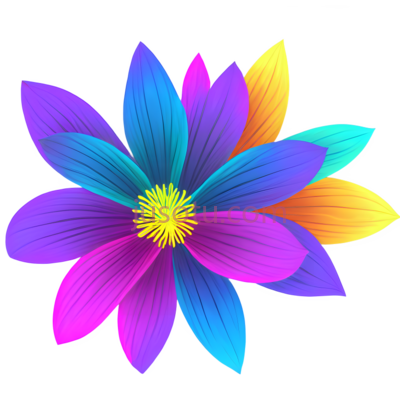 花朵,抽象, PNG