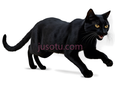 黑猫,卡通,黑色, PNG