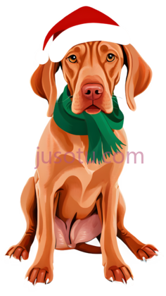 猎犬,圣诞, PNG