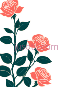玫瑰,插画,粉色,绿色PNG