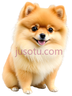 博美犬,卡通,浅棕色PNG