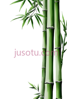 竹子,插画,绿色PNG
