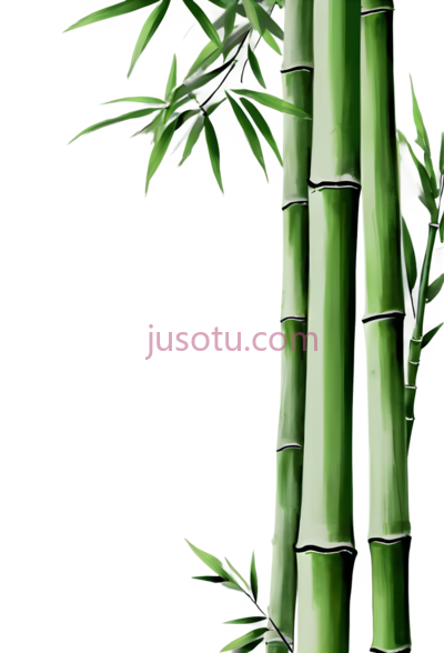 竹子,插画,绿色, PNG