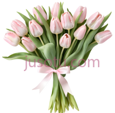 郁金香花束,粉色PNG