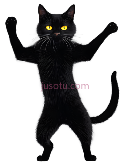 黑猫,站立,黑色, PNG