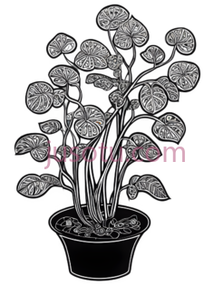 盆栽,线条画,黑白PNG