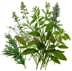 草药,药材, PNG