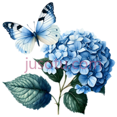 绣球花,蓝色, PNG