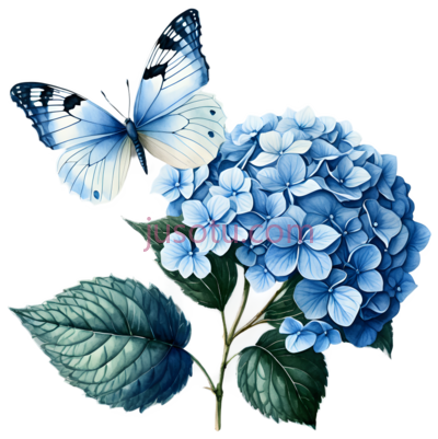 绣球花,蓝色, PNG