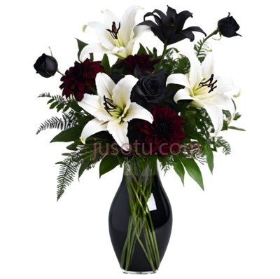 花,优雅,白色,红色, PNG