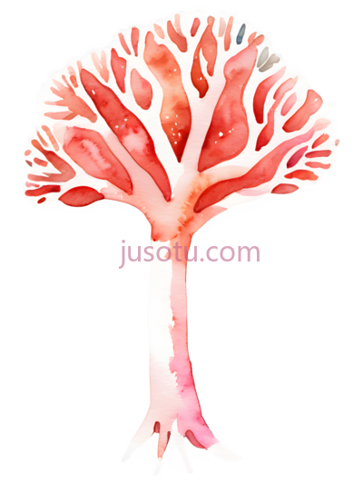 珊瑚,水彩画,红色, PNG