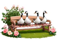 鸭子,卡通,白色PNG