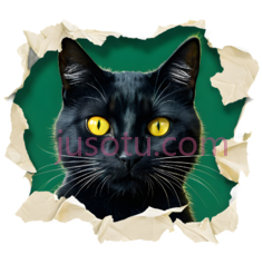 猫,撕裂纸张效果,黑色PNG