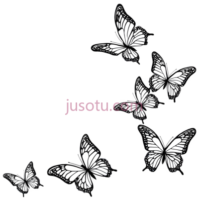 蝴蝶,线条勾勒,白色, PNG