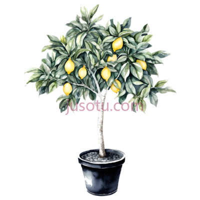 水彩,柠檬树,花盆, PNG