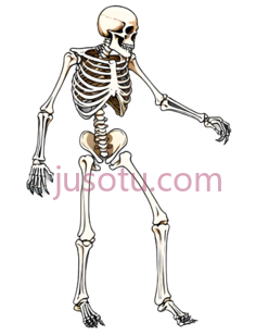攻击,骨骼,人体, PNG