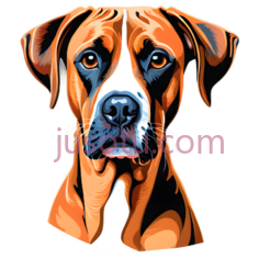 狗,卡通,棕色,黑色,白色PNG