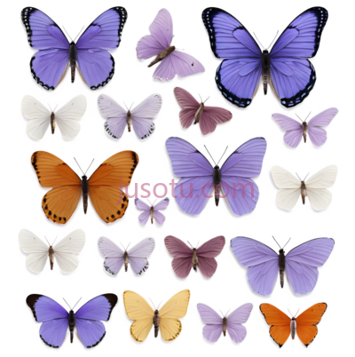 蝴蝶,薰衣草色, PNG