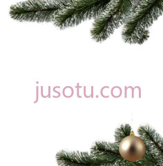 松树枝,自然,绿色PNG