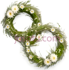 花环,自然风,绿色,白色PNG