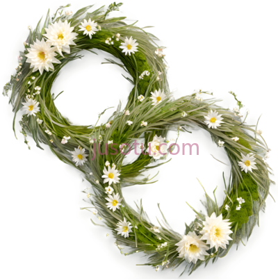 花环,自然风,绿色,白色, PNG