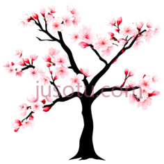 樱花,插画,粉色, PNG