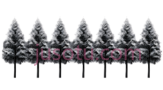 森林,树木, PNG