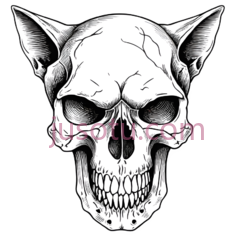 骷髅,素描,黑白PNG
