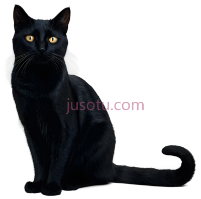 猫,插画,黑色, PNG