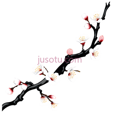 梅花,水墨画,白色,粉色, PNG