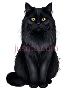 长毛猫, PNG