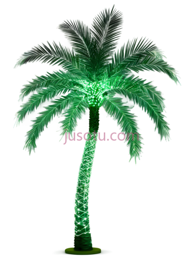 椰子树,发光,绿色, PNG