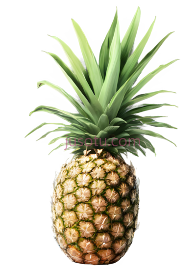 菠萝,自然,黄色,绿色, PNG