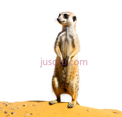 猫鼬,站立,棕色,白色, PNG