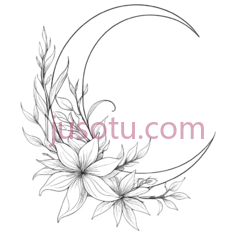 月亮,花朵,线条,白色PNG