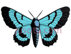 蝴蝶,抽象,蓝色PNG